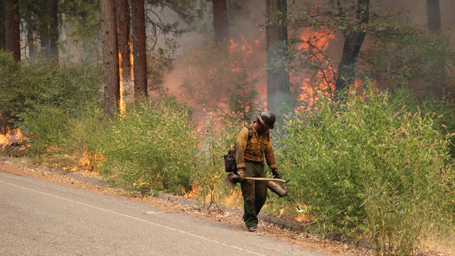 Caldor-Fire-Cal-Fire-1.jpg 