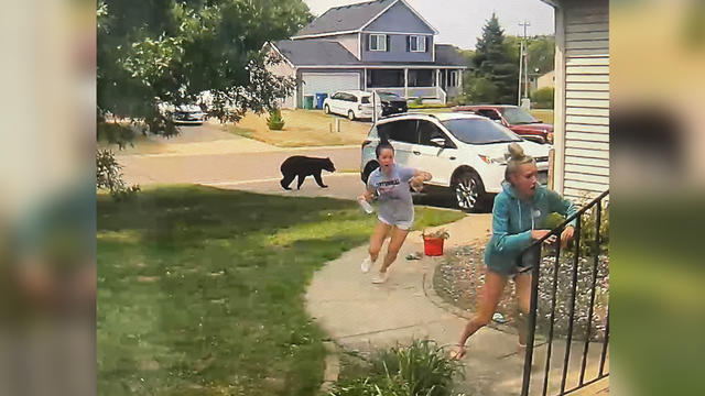 Centerville-Bear-Encounter.jpg 