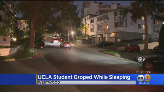 UCLA-westwood-predator.png 