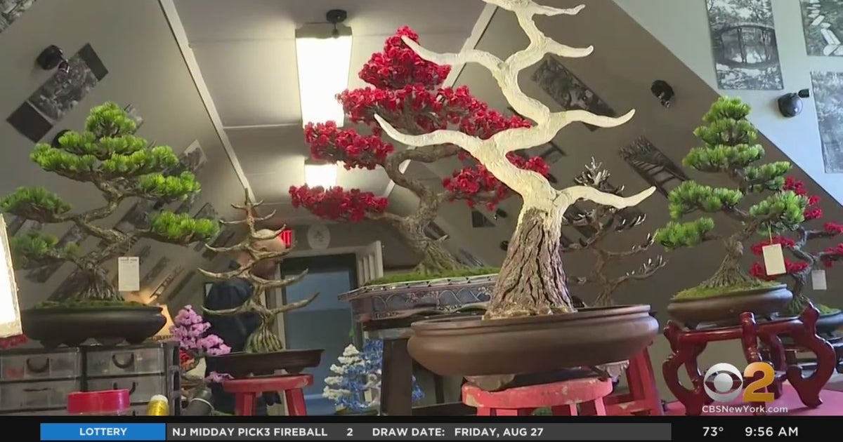New Jersey Artist Expresses Affinity For Bonsai Trees Through Unique  Sculptures - CBS New York