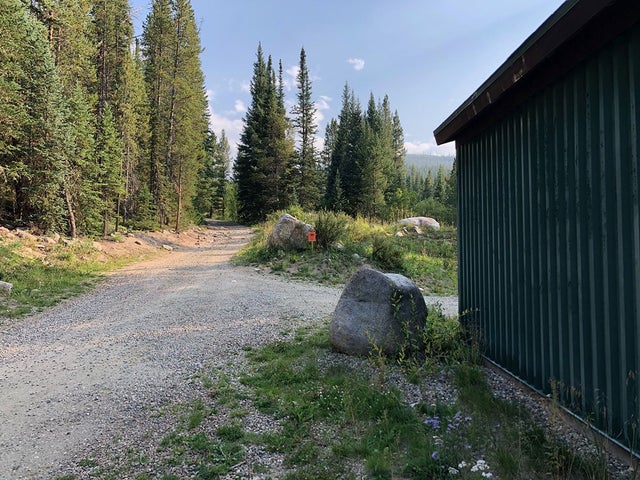 winter park cow moose attack (cpw) 