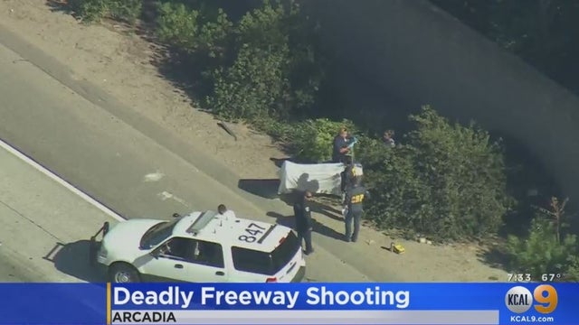 Arcadia-Shooting.jpg 