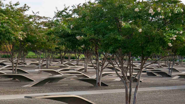 pentagon-trees-2020.png 