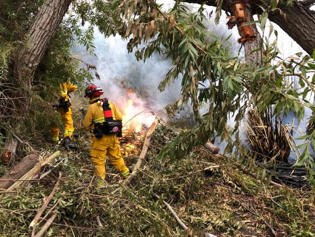 Firefighters Make Quick Work Of Brush Fire In Costa Mesa Park 