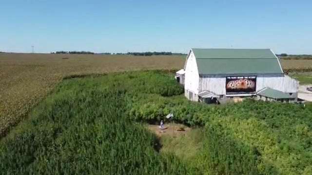 Hemp-Maze-Minnesota.jpg 