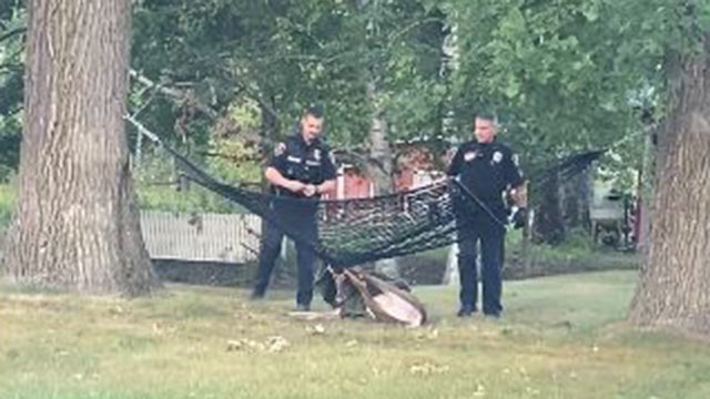 Deer-stuck-in-hammock-Grand-Rapids.jpg 