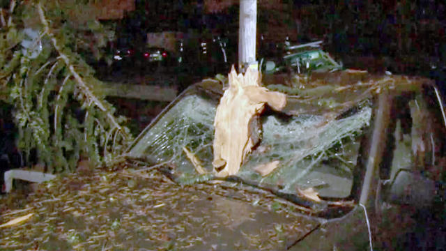 lightning-strike-treecar.jpg 