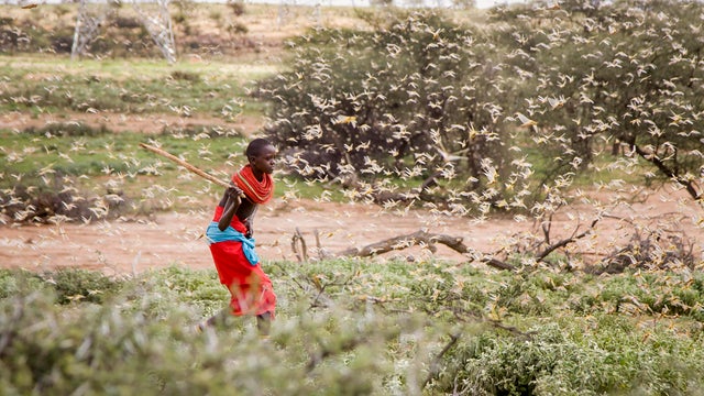 World Bank Climate Migration 