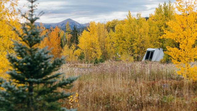 Colorado-Parks-and-Wildlife-encourages-people-search-for-autum-gold-to-peep-responsibly..jpg 