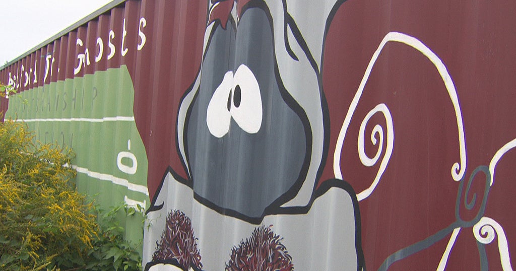 Westford Academy To Change 'Grey Ghost' Mascot After Complaints CBS