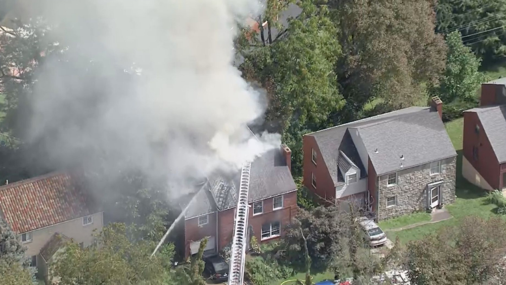 mount-lebanon-fire 