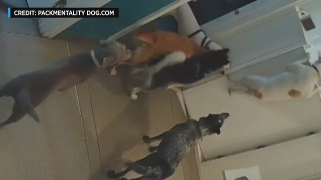 escape-4.jpg 