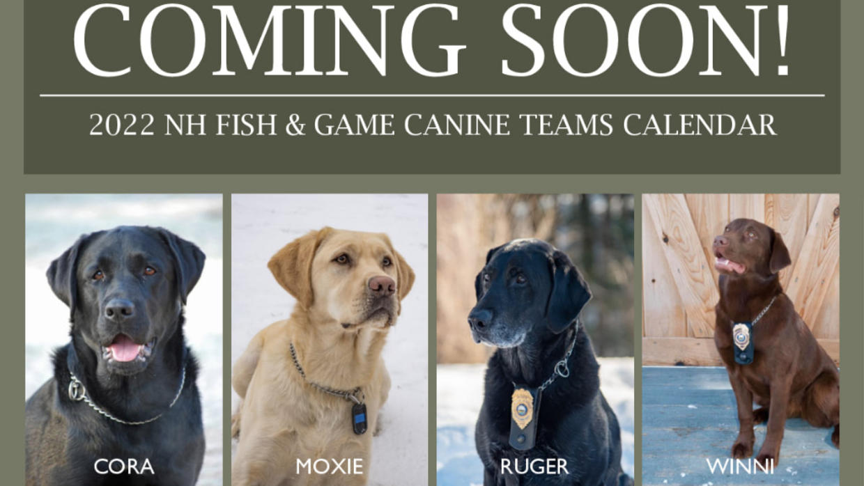 NH Fish And Game To Sell 2022 Calendars Featuring K9 Teams CBS Boston