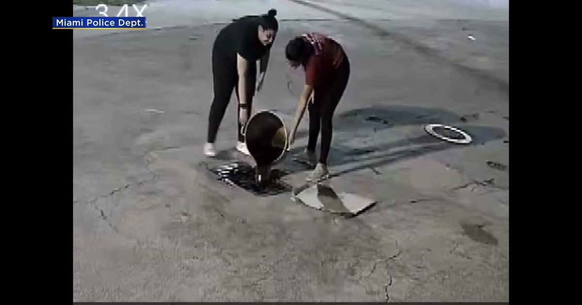 Police 2 Caught On Camera Illegally Dumping Oil Down Storm Drain In