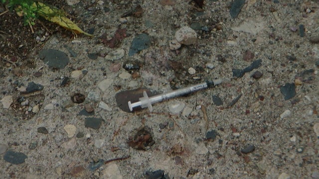 10P-Pkg-Needles-Folo_WCCO098C.jpg 