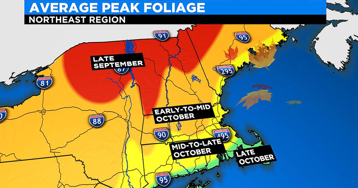 Delayed But Longer Fall Foliage Season Expected In New England CBS Boston