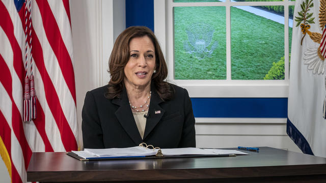 Vice President Harris Leads Session During Virtual Covid-19 Summit 