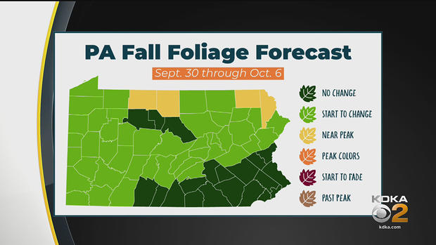 Fall Foliage Forecast 