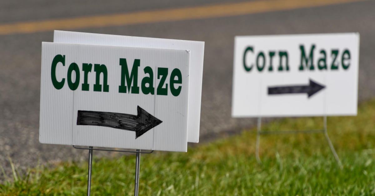 Up to your ears and getting lost: Yelp data helps navigate U.S. corn mazes as Halloween nears