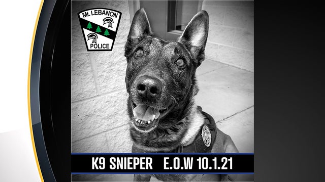 Mt.-Lebanon-K9-Snieper.jpg 
