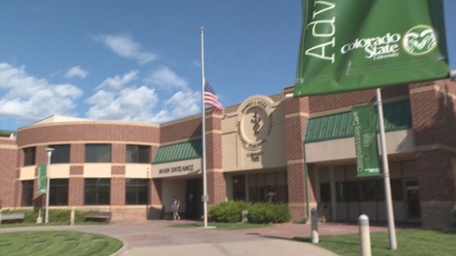 Renowned CSU Veterinary Hospital Cuts Hours Due To Staffing Shortage - CBS Colorado Renowned CSU Veterinary Hospital Cuts Hours Due To Staffing Shortage - CBS Colorado