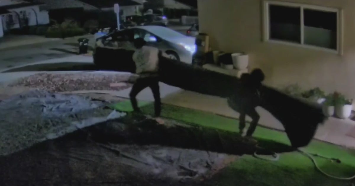 Artificial Turf Stolen From San Jose Home As Drought Drives Rising Demand CBS San Francisco