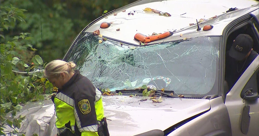 Driver Trapped By Live Wires After Truck Crashes Into Utility Pole In ...