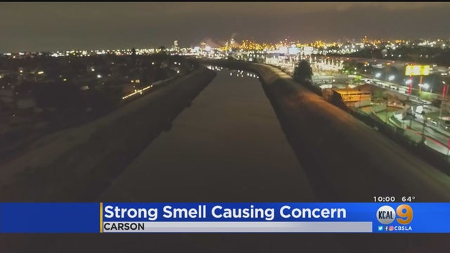 carson-smell.jpg 