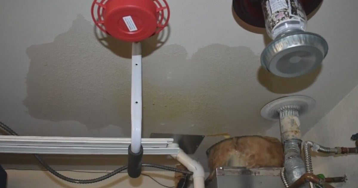 Pipe Leak Lawsuit Filed Against City Of Folsom CBS Sacramento