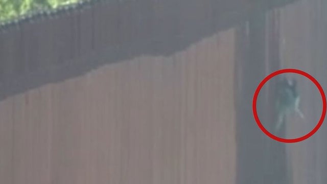border-fence.jpg 