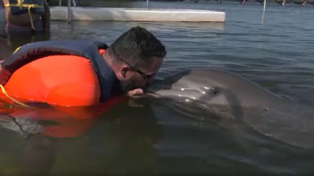 wounded-warriors-dolphins.jpg 