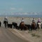 Like a cowboy's therapy: The Green River Drift's 70-mile cattle drive
