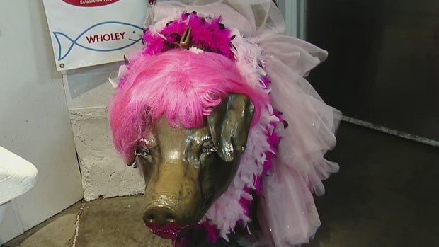 Rachael Wholey's Bronze Pig 