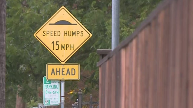 speed-humps.jpg 