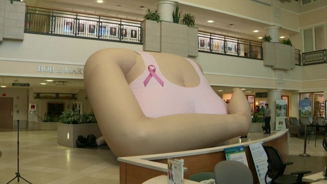 18-P-BREAST-CANCER-SURV_WFOR4N83.jpg 
