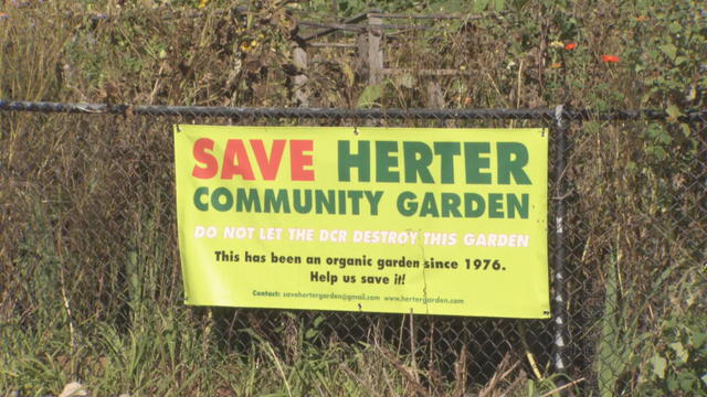 Herter-Community-Garden-2.jpg 