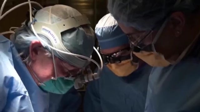 surgeons-1.jpg 