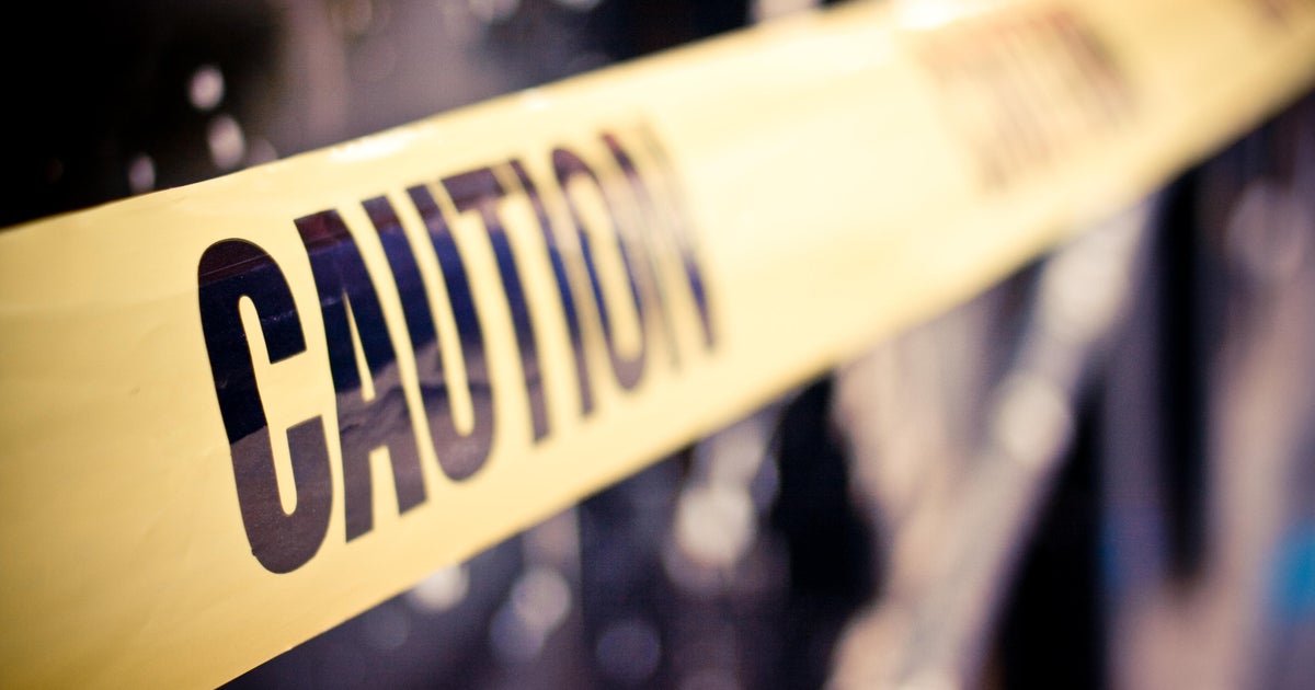 Womans body found in jaws of Florida alligator CBS News Womans body found in jaws of Florida alligator CBS News