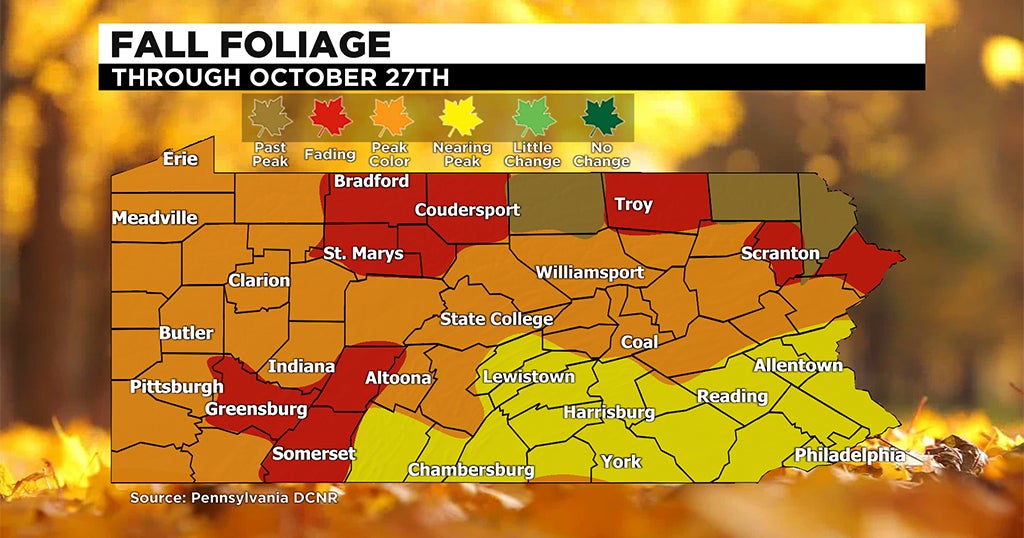 Fall Foliage Report: Cooler Temperatures Bring In The Best Colors - CBS ...