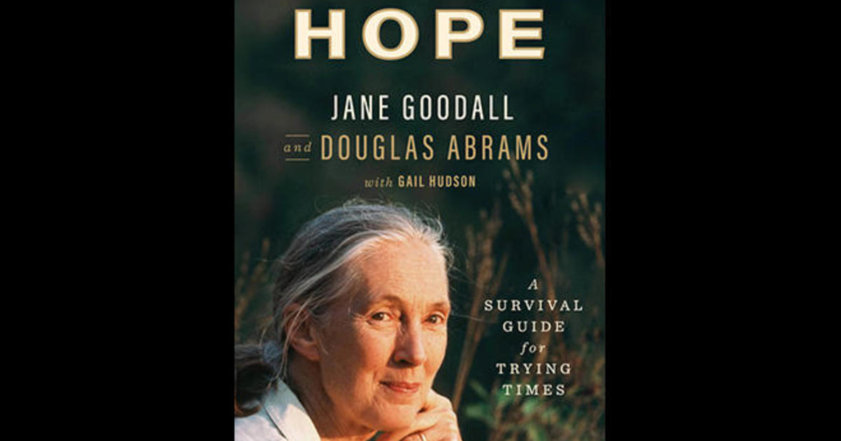 The Tree that Survived 9/11 - Jane Goodall's Good for All News