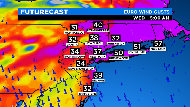 SkyCast FutureCast Wind Gusts EURO 