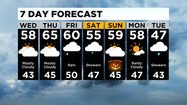 7 Day Forecast 