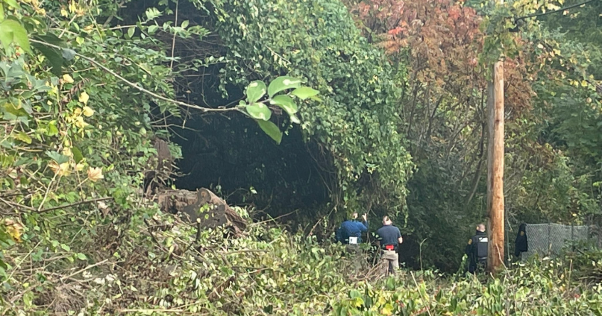 Police: Skeletal Remains Found In Wooded Area Of Uptown - CBS Pittsburgh