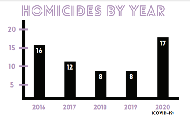 DV Homicides by Year 