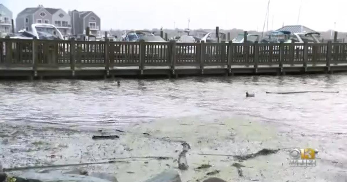 Heavy Winds & High Tides Flood Some Roads In Havre De Grace CBS Baltimore