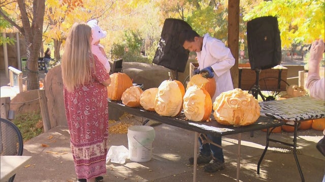 DENVER-ZOO-HALLOWEEN-FUN-5VO.transfer_frame_0.jpeg 