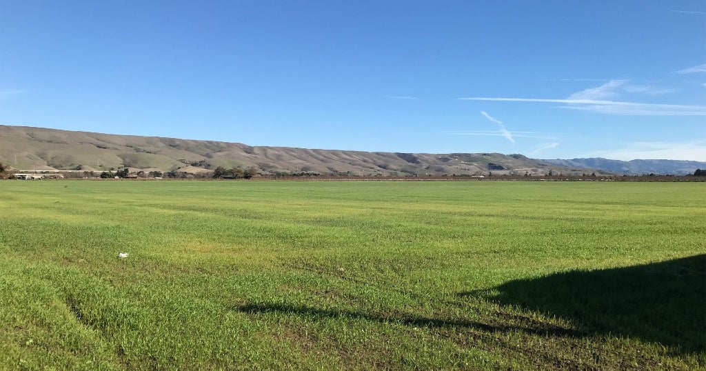 60 Acres Of Farmland In San Jose's Coyote Valley Purchased For