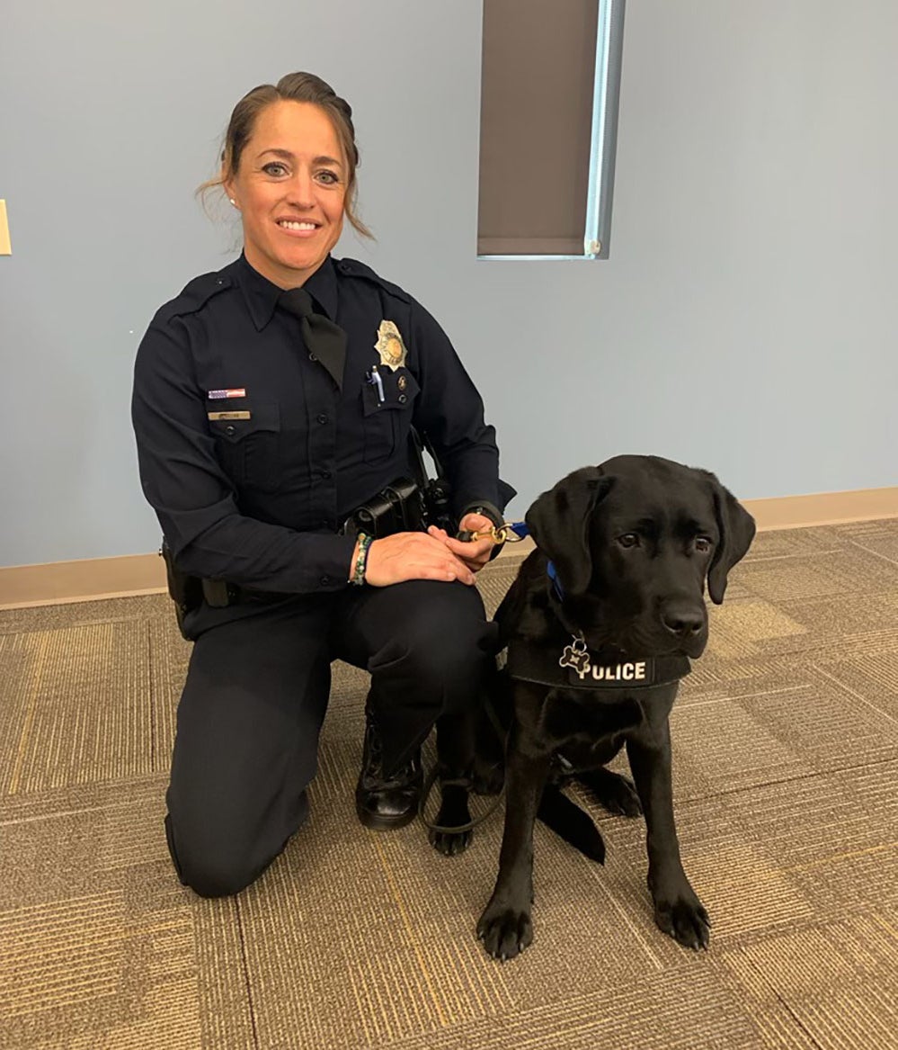 Denver PD Welcomes First Therapy Dog To Its Pilot Pup Program - CBS ...