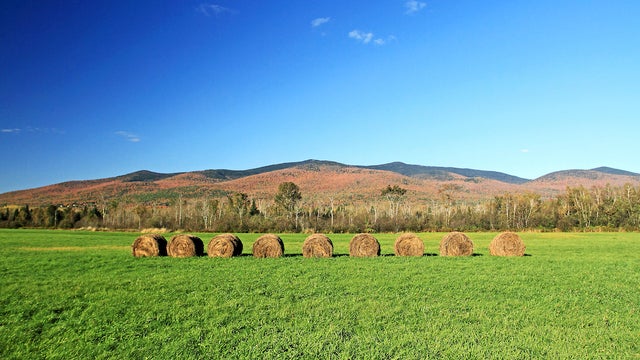 New-Hampshire-farming.jpg 