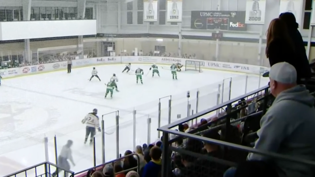 female-hockey-goalie.png 